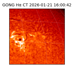 gong - 2026-01-21T16:00:42