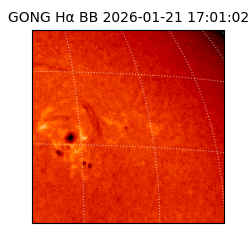 gong - 2026-01-21T17:01:02