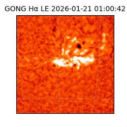 gong - 2026-01-21T01:00:42