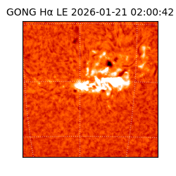 gong - 2026-01-21T02:00:42