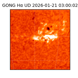 gong - 2026-01-21T03:00:02