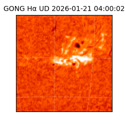 gong - 2026-01-21T04:00:02