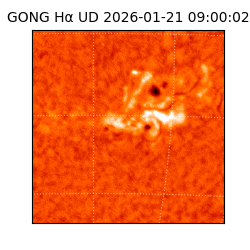 gong - 2026-01-21T09:00:02