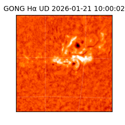 gong - 2026-01-21T10:00:02