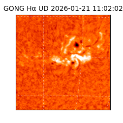 gong - 2026-01-21T11:02:02