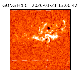 gong - 2026-01-21T13:00:42