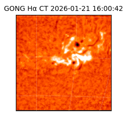 gong - 2026-01-21T16:00:42