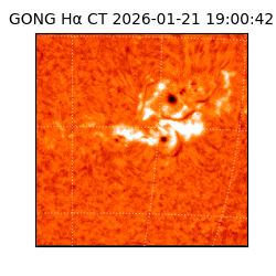 gong - 2026-01-21T19:00:42