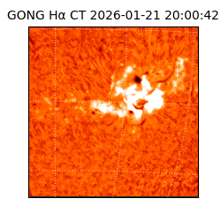 gong - 2026-01-21T20:00:42