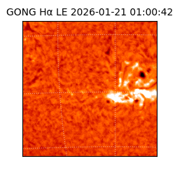 gong - 2026-01-21T01:00:42