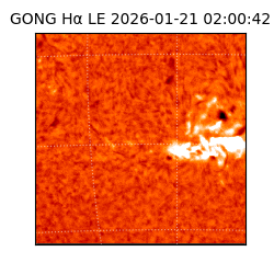 gong - 2026-01-21T02:00:42