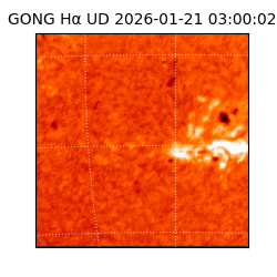 gong - 2026-01-21T03:00:02