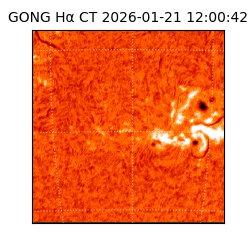 gong - 2026-01-21T12:00:42