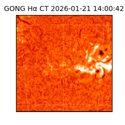 gong - 2026-01-21T14:00:42