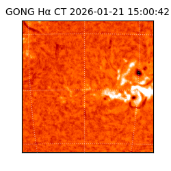 gong - 2026-01-21T15:00:42