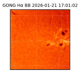 gong - 2026-01-21T17:01:02