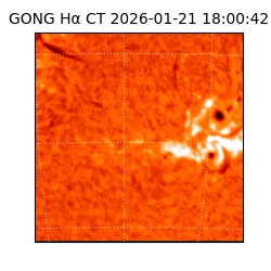 gong - 2026-01-21T18:00:42