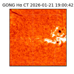 gong - 2026-01-21T19:00:42