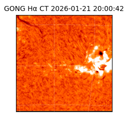 gong - 2026-01-21T20:00:42
