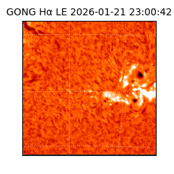 gong - 2026-01-21T23:00:42