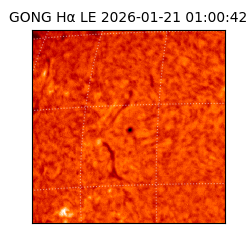gong - 2026-01-21T01:00:42