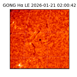 gong - 2026-01-21T02:00:42