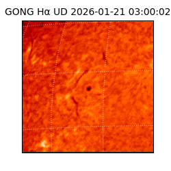 gong - 2026-01-21T03:00:02