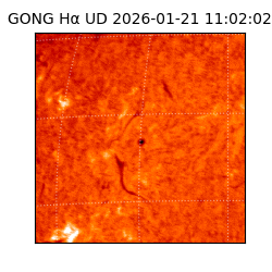 gong - 2026-01-21T11:02:02