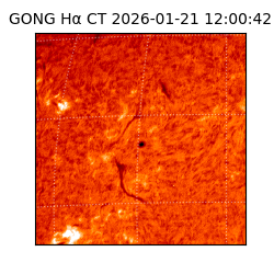 gong - 2026-01-21T12:00:42