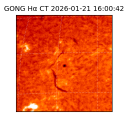 gong - 2026-01-21T16:00:42