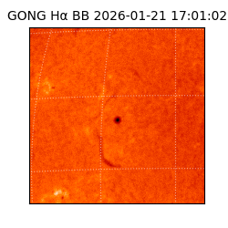 gong - 2026-01-21T17:01:02
