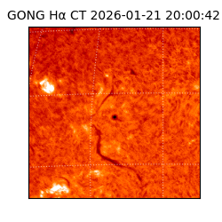 gong - 2026-01-21T20:00:42