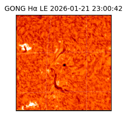 gong - 2026-01-21T23:00:42