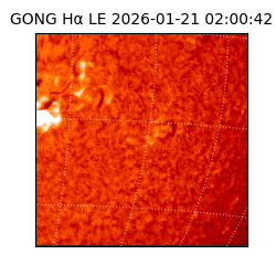 gong - 2026-01-21T02:00:42