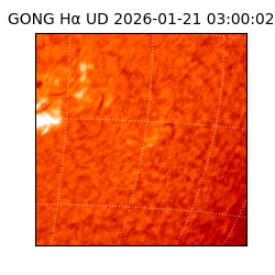 gong - 2026-01-21T03:00:02