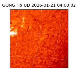 gong - 2026-01-21T04:00:02