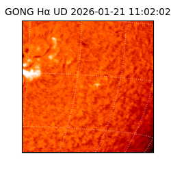 gong - 2026-01-21T11:02:02