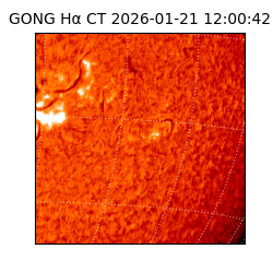 gong - 2026-01-21T12:00:42