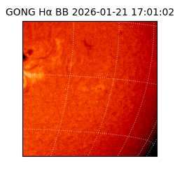 gong - 2026-01-21T17:01:02