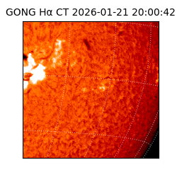 gong - 2026-01-21T20:00:42