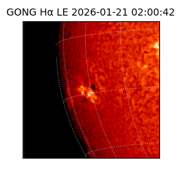 gong - 2026-01-21T02:00:42