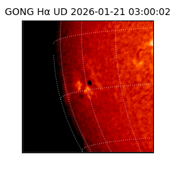 gong - 2026-01-21T03:00:02