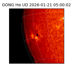 gong - 2026-01-21T05:00:02