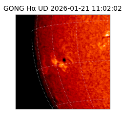 gong - 2026-01-21T11:02:02