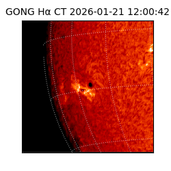 gong - 2026-01-21T12:00:42
