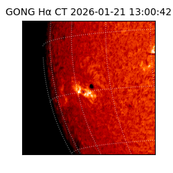 gong - 2026-01-21T13:00:42