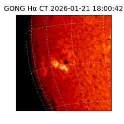 gong - 2026-01-21T18:00:42