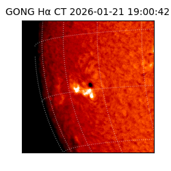 gong - 2026-01-21T19:00:42