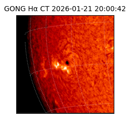 gong - 2026-01-21T20:00:42
