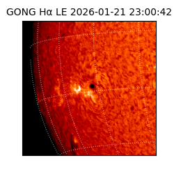 gong - 2026-01-21T23:00:42